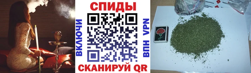 Бутират бутандиол  мега ТОР  Томмот  где найти  