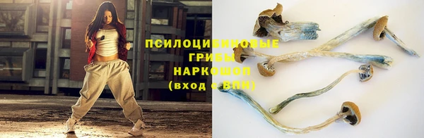 прущая мука Балахна
