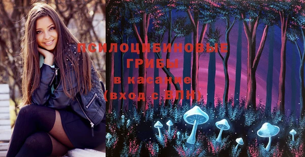 молекула духа Пролетарск