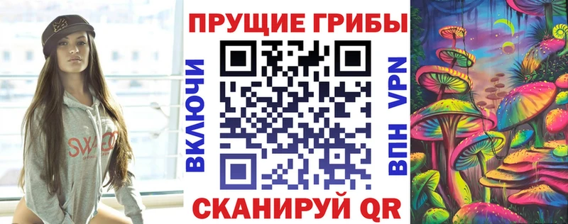 Галлюциногенные грибы Psilocybine cubensis  купить  цена  Томмот 